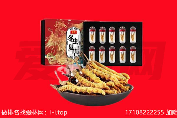 冕宁县回收虫草.jpg